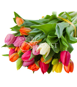 Mixed Color Tulips bouquet